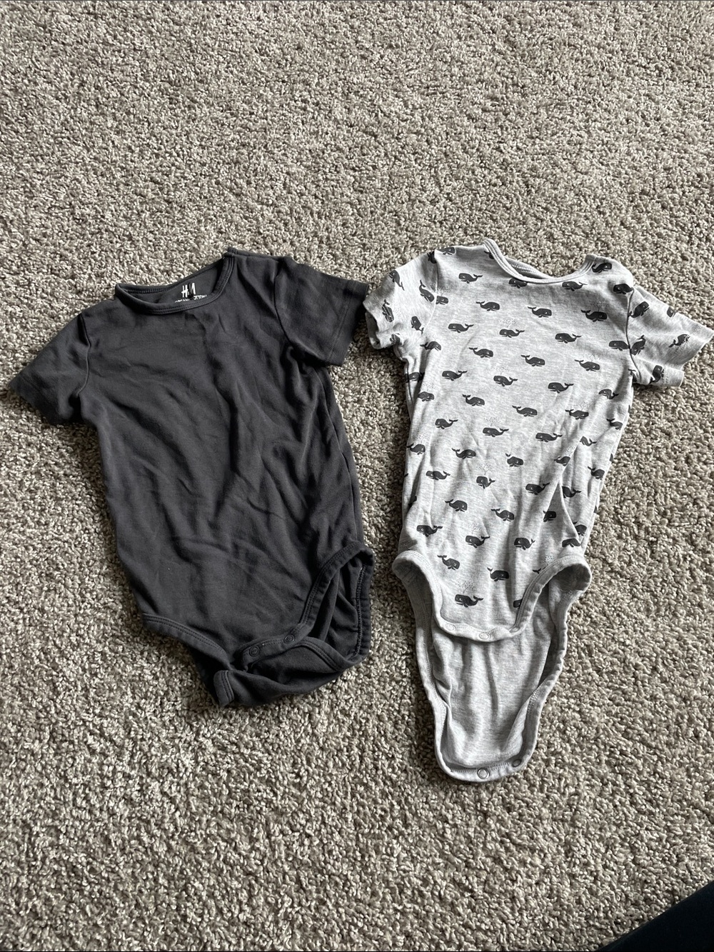 Gray Solid and Light Gray Whale-Print Bodysuits